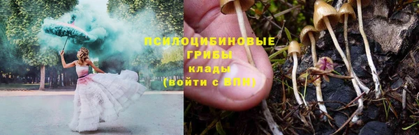 дживик Балабаново